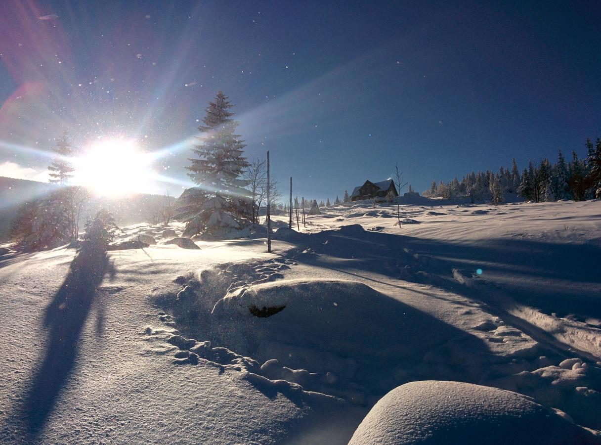 Willa Lesna Polana Szklarska Poreba Bagian luar foto